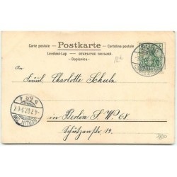 n°7800 - Carte Fantaisie Gaufrée - Art Nouveau - Femme et Edelweiss