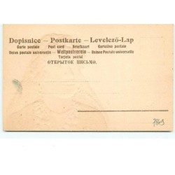 n°7849 - Carte Fantaisie Gaufrée - Femme Orientale