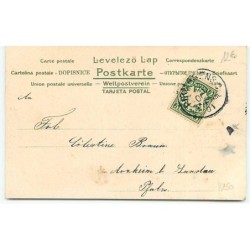 n°8250 - Carte Fantaisie - Portrait de Femme - Vigne - Raisin - Art Nouveau