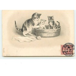 n°8346 - Carte Fantaisie...