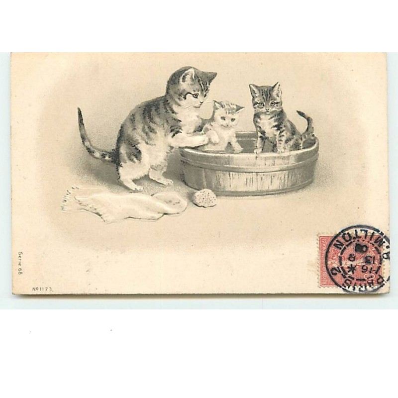 n°8346 - Carte Fantaisie  Gaufrée - Chat faisant la toilette de ses chatons - Série 68 n°1173