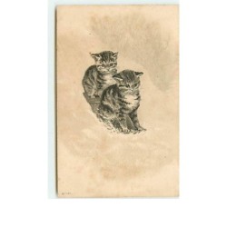 n°8347 - Carte Fantaisie...