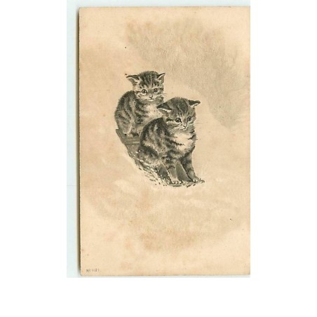 n°8347 - Carte Fantaisie  Gaufrée - Chat faisant de la luge - n°1121