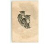 n°8347 - Carte Fantaisie  Gaufrée - Chat faisant de la luge - n°1121