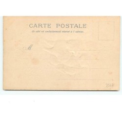 n°8347 - Carte Fantaisie  Gaufrée - Chat faisant de la luge - n°1121