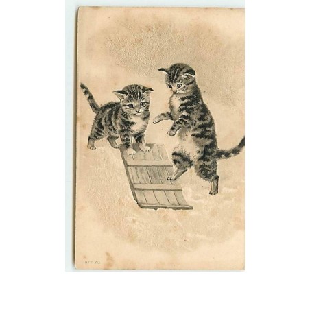 n°8348 - Carte Fantaisie  Gaufrée - Chat montant sur une luge - n°1120
