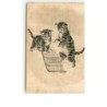 n°8348 - Carte Fantaisie  Gaufrée - Chat montant sur une luge - n°1120