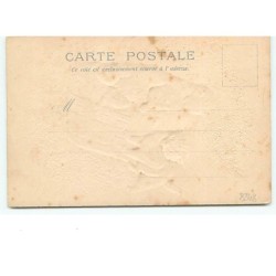 n°8348 - Carte Fantaisie  Gaufrée - Chat montant sur une luge - n°1120