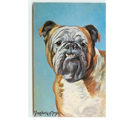 n°8425 - Carte Illustrateur - Donaldini jr Dresden - Bouledogue