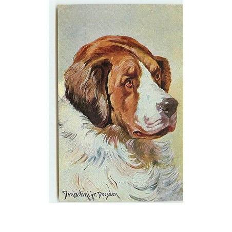 n°8427 - Carte Illustrateur - Donaldini jr Dresden - Saint Bernard