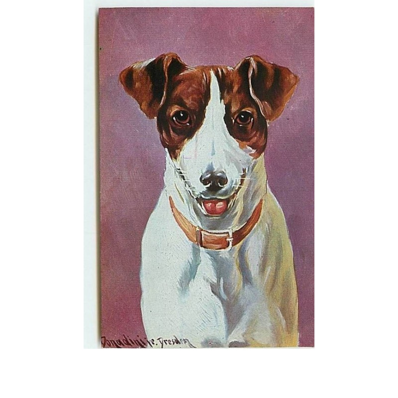 n°8428 - Carte Illustrateur - Donaldini jr Dresden - Fox Terrier