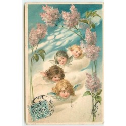 n°12430 - Têtes d'anges...