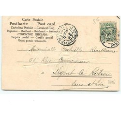 n°8446 - Carte Fantaisie Gaufrée - Joyeuses Pâques - Angelot transporté Par des poussins