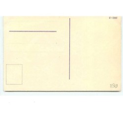 n°8549 - Carte Fantaisie - Chat, chien et enfants