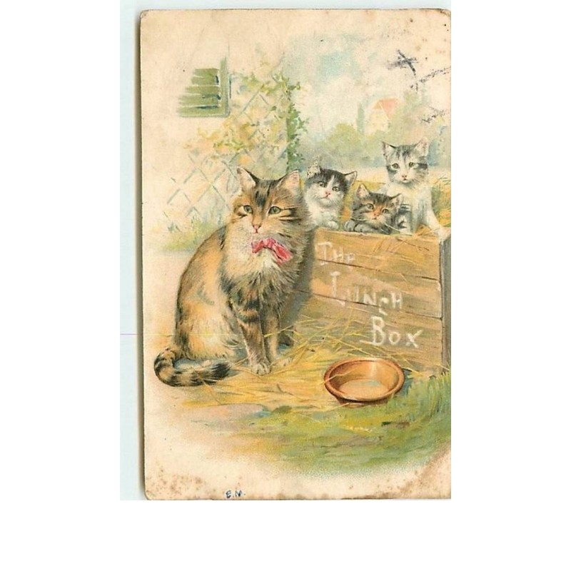 n°8550 - Carte Fantaisie - Chats - The Lunch Box