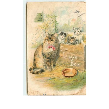 n°8550 - Carte Fantaisie - Chats - The Lunch Box