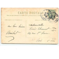 n°8550 - Carte Fantaisie - Chats - The Lunch Box