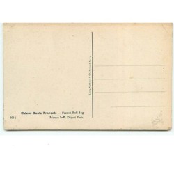 n°8574 - Carte Fantaisie - Ophelie billing - Bouledogues Français