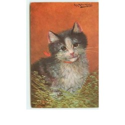 n°8584 - Carte Fantaisie -...