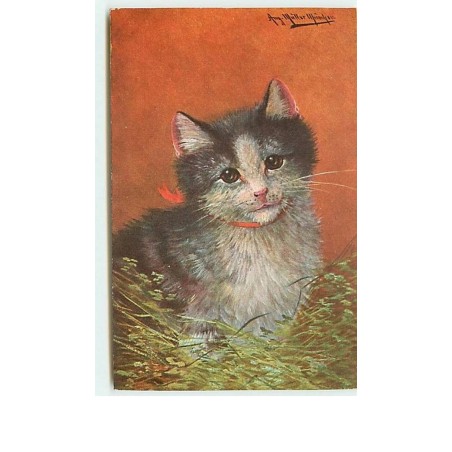 n°8584 - Carte Fantaisie - Chat n°1