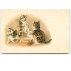 n°8668 - Carte Fantaisie -...