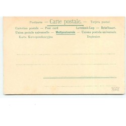 n°8668 - Carte Fantaisie - Chats faisant leur toilette