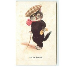 n°8670 - Carte Fantaisie -...