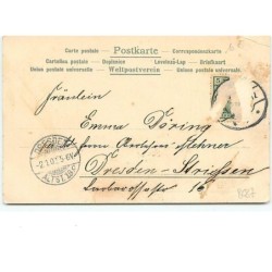 n°8687 - Carte Fantaisie - Prosit Neujahr - Fillette avec une flute de Champagne
