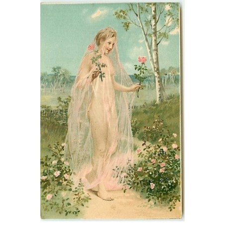 n°8772 - Carte Illustrateur - Femme nue sous un voile avec 2 roses