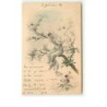 n°8876 - Carte Illustrateur - MM Vienne - Femme sur une branche