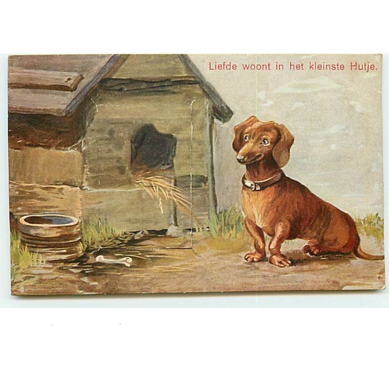 n°8894 - Carte Fantaisie à Système - Liefde woont in het kleinste Hutje - Teckel - Dackel