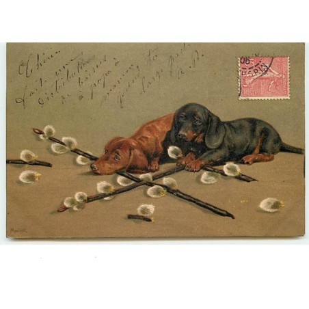 n°8895 - Carte Fantaisie Gaufrée - Teckel - Dackel