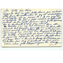 n°8899 - Carte Fantaisie - L'Heure du bain à Dogueville sur Mer - Chiens habillés