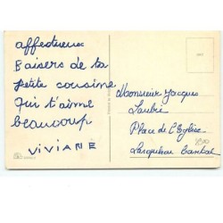 n°8900 - Carte Fantaisie - Dis-nous, Grand Chef, aquelle sauce allons-nous manger oeil-de-matou - Chats habillés