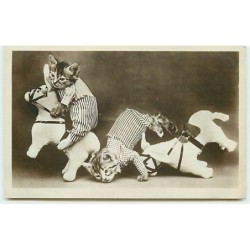 n°8930 - Carte Fantaisie -...