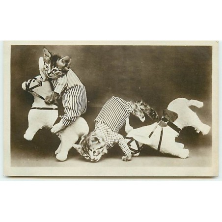 n°8930 - Carte Fantaisie - Chats habillés jouant