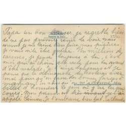 n°8930 - Carte Fantaisie - Chats habillés jouant