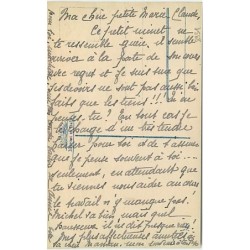 n°8931 - Carte Fantaisie - Chat habillé