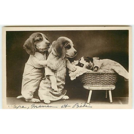 n°8932 - Carte Fantaisie - Chiots habillés
