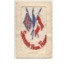 n°8957 - Carte Brodée - Souvenir From France - Drapeaux