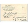 n°9081 - Carte Gaufrée - Prosit Neujahr - Lutins avec un Angelot