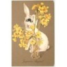 n°9326 - MM Vienne M Munk n°564 - Joyeuses Pâques - Lapin se cachant derrière un vase rempli de fleurs