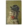 n°9421 - Maurice Boulanger - Chat portant une chapeau