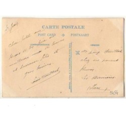 n°9454 - Carte Brodée - Souvenir de la Savoie - Edelweiss