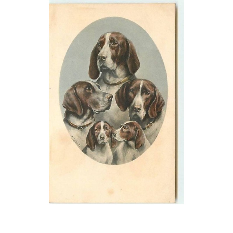 n°9471 - Carte Illustrateur - MM Vienne n°711 - C. Reichert - Chiens de Chasse