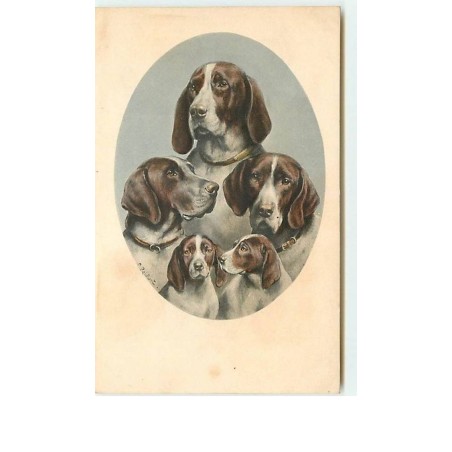 n°9471 - Carte Illustrateur - MM Vienne n°711 - C. Reichert - Chiens de Chasse