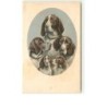 n°9471 - Carte Illustrateur - MM Vienne n°711 - C. Reichert - Chiens de Chasse