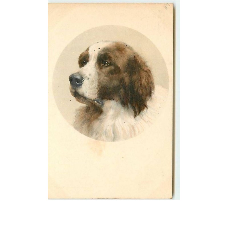 n°9474 - Carte Illustrateur - MM Vienne n°192 - Saint Bernard