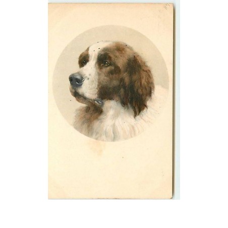 n°9474 - Carte Illustrateur - MM Vienne n°192 - Saint Bernard