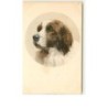 n°9474 - Carte Illustrateur - MM Vienne n°192 - Saint Bernard